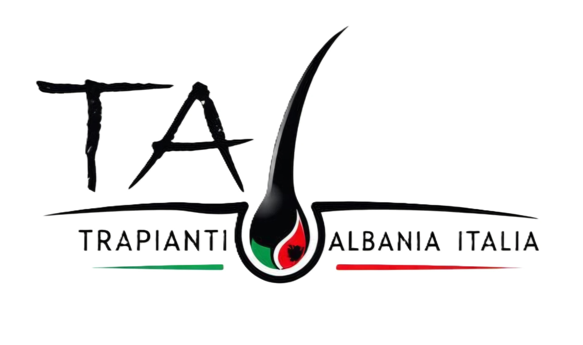 Logo T.A.i. - Trapianti Albania Italia - Trapianti capelli